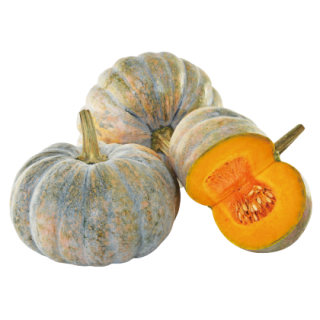 Aaditya Winter Squash From Known You Seed (India) (1)-KYI
